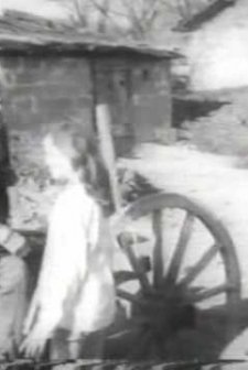 Yaralı Kuş (1967) afişi