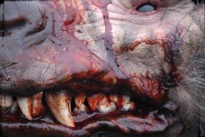 Wild Country Fotoğrafı