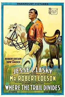 Where The Trail Divides (1914) afişi