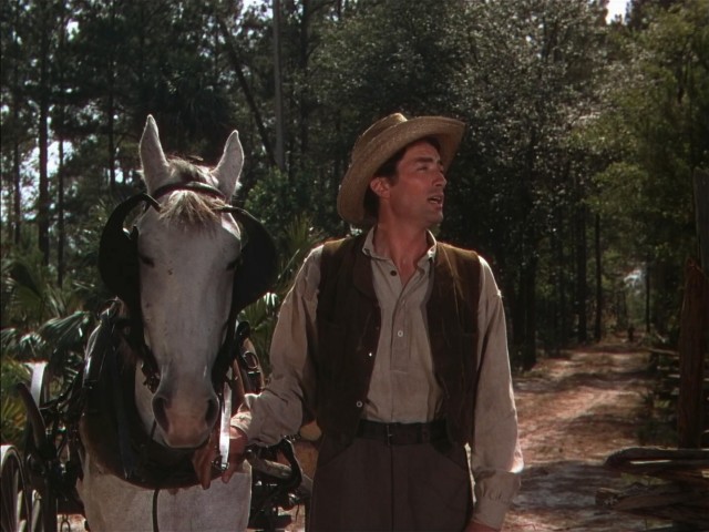 The Yearling Fotoğrafı