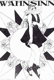 Wahnsinn (1919) afişi