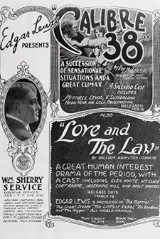 Calibre 38 (1919) afişi
