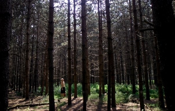 The Afterlight Fotoğrafı