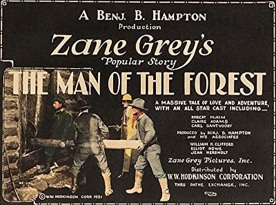 Man Of The Forest (1921) afişi