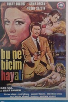 Bu Ne Biçim Hayat (1969) afişi
