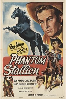 Phantom Stallion (1954) afişi