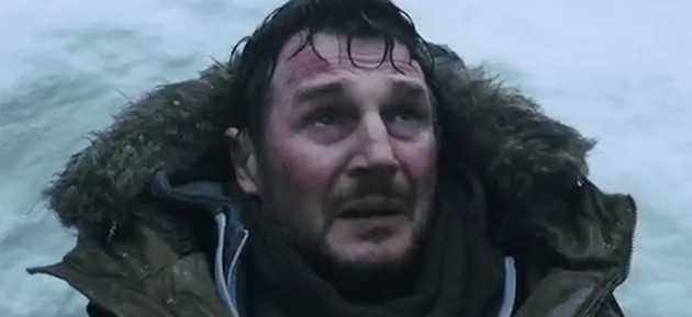 Gri Kurt Fotoğrafı