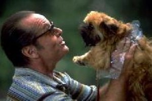 Benden Bu Kadar Fotoğrafı