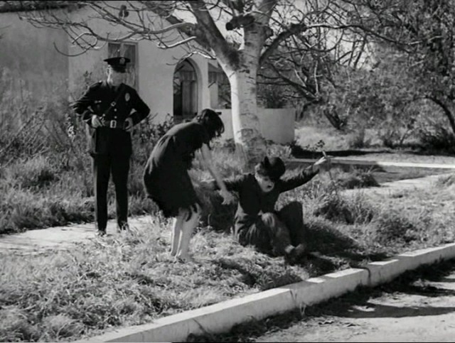 Charlie'nin Hayatı Fotoğrafı
