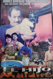 Transplandes Ilegales (1995) afişi