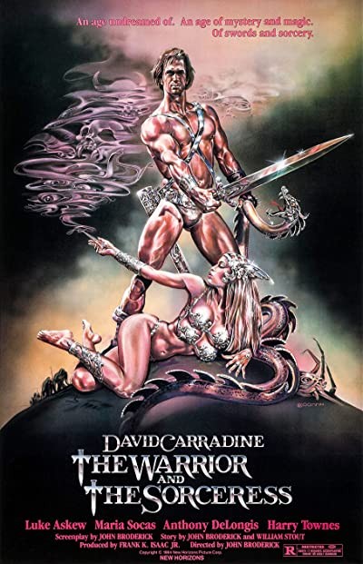 The Warrior And The Sorceress (1984) afişi