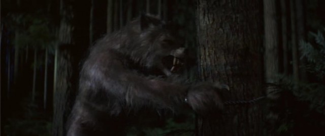 Bad Moon Fotoğrafı