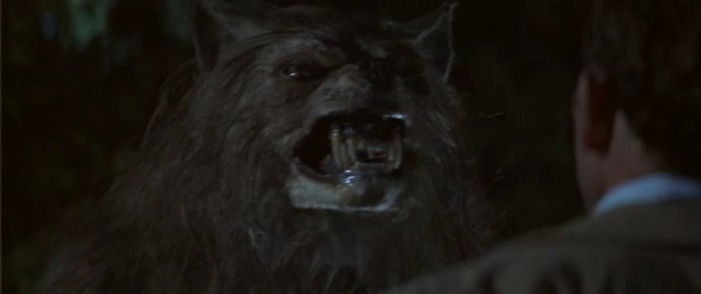 Bad Moon Fotoğrafı