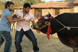 Baba Ocağı Fotoğrafı