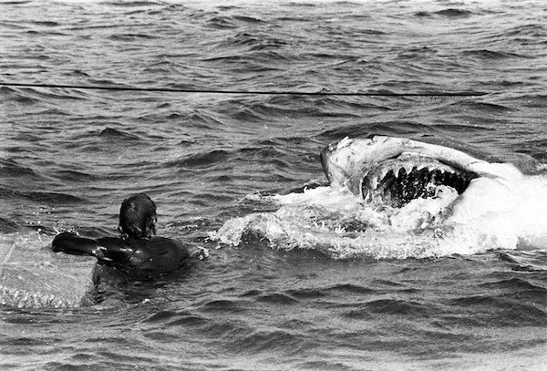 Jaws Fotoğrafı