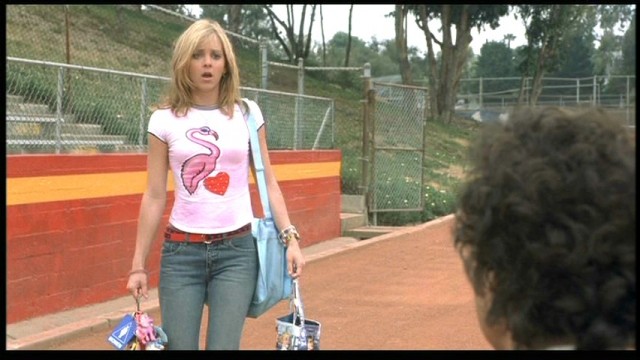 Ateşli Piliç Fotoğrafı