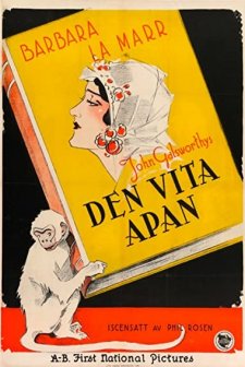 The White Monkey (1925) afişi