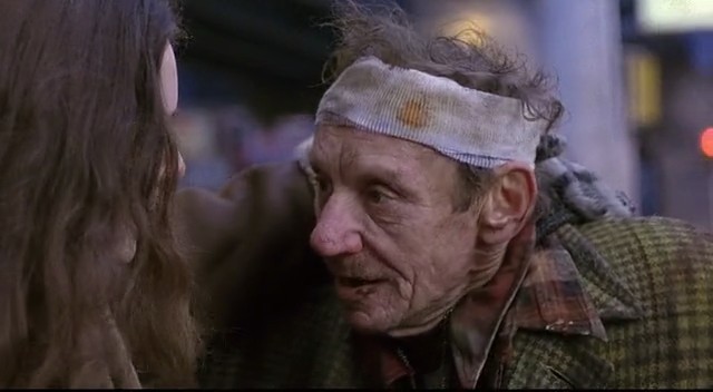 12 Maymun Fotoğrafı