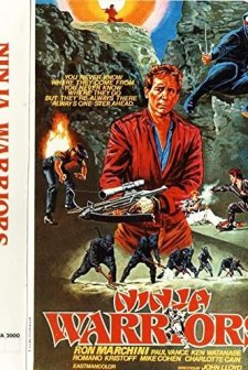 Ninja Warriors (1985) afişi