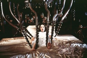 Perili Ev Fotoğrafı