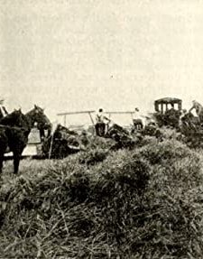 Back To The Old Farm (1912) afişi