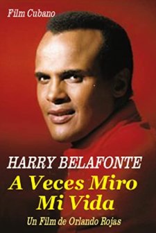 A Veces Miro Mi Vida (1982) afişi