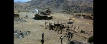 Hong bai mudan hua Fotoğrafı