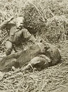 The Jungle Master (1914) afişi