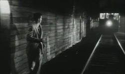 An Schenkt Sich Rosen, Wenn Man Verliebt Ist Fotoğrafı