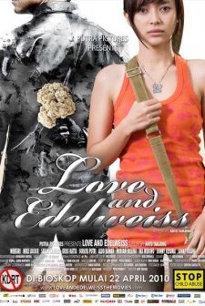 Love And Edelweiss (2010) afişi