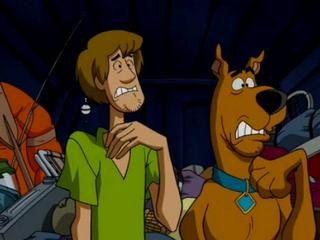 Scooby-Doo! Korku Kampı Fotoğrafı
