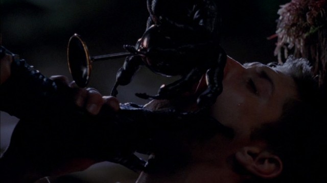 Oyunun Laneti Fotoğrafı