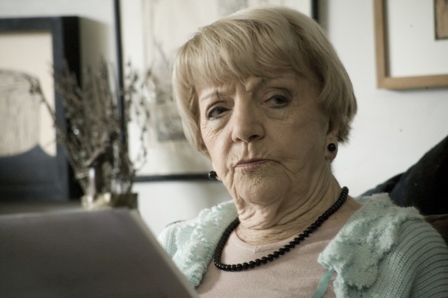 Old Cats Fotoğrafı