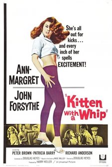 Kitten With A Whip (1964) afişi