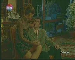 Örümcek fotoğrafı