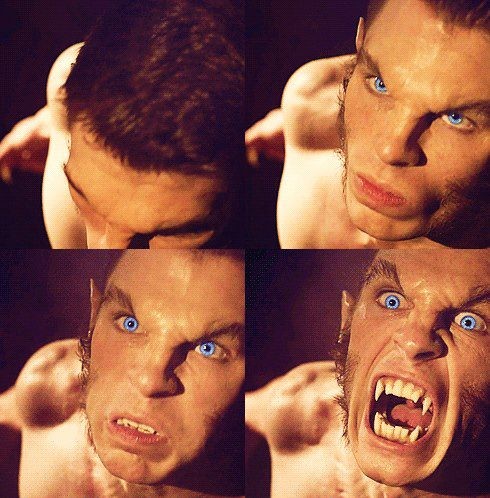 Teen Wolf Fotoğrafı