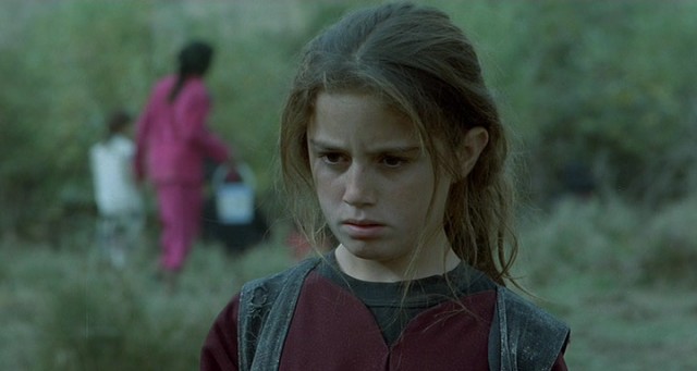 Kaplumbağalar da Uçar Fotoğrafı