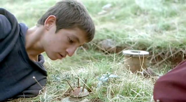 Kaplumbağalar da Uçar Fotoğrafı