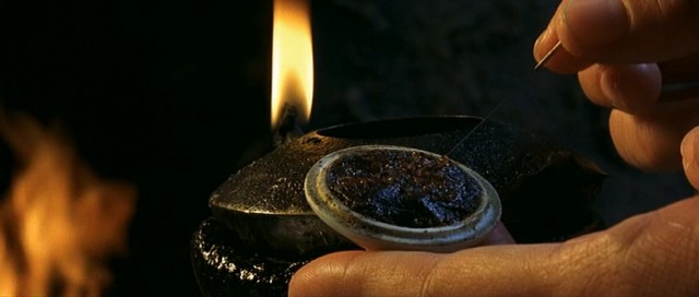 Kaplan ve Ejderha Fotoğrafı