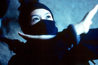 Kaplan ve Ejderha Fotoğrafı