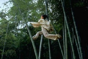 Kaplan ve Ejderha Fotoğrafı