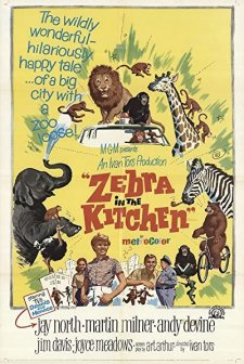 Zebra In The Kitchen (1965) afişi