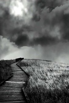 The Killer's Reprieve (2009) afişi