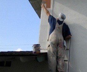 Morbid Curiosity Fotoğrafı