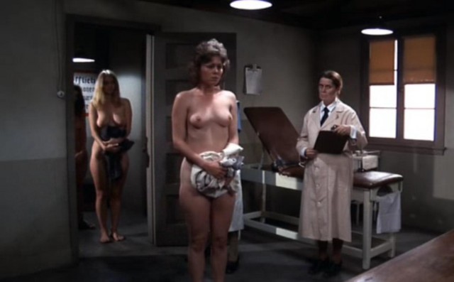 Ilsa, She Wolf Of The Ss fotoğrafı