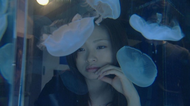 Shooting Star Fotoğrafı