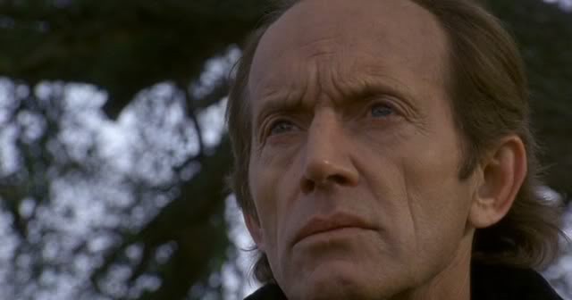 Harika Çocuk Fotoğrafı