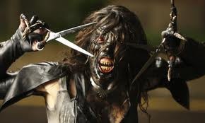 Köpek Evi Fotoğrafı