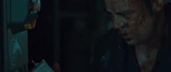 Köpek Evi Fotoğrafı