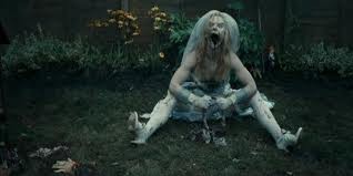 Köpek Evi Fotoğrafı